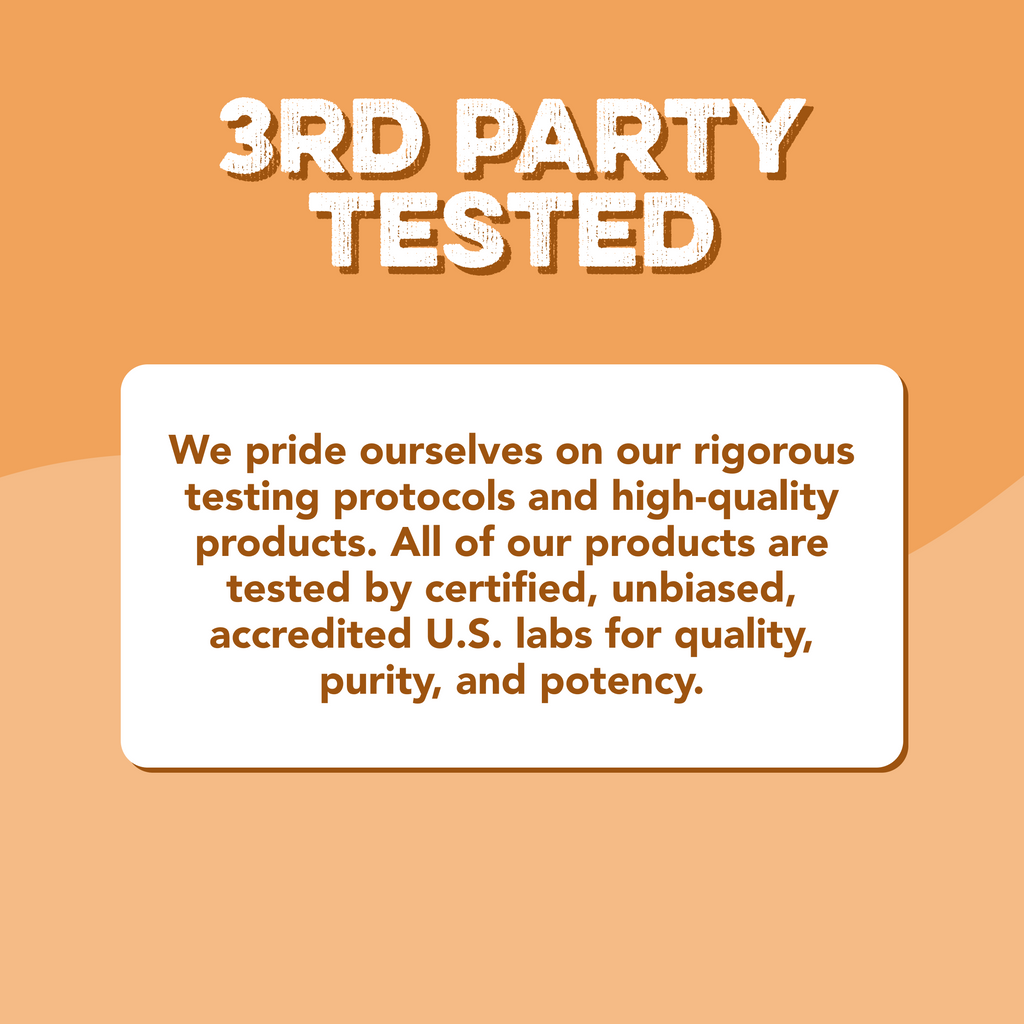 Protein Powder: Chocolate Peanut Butter (20 Serving Bag)