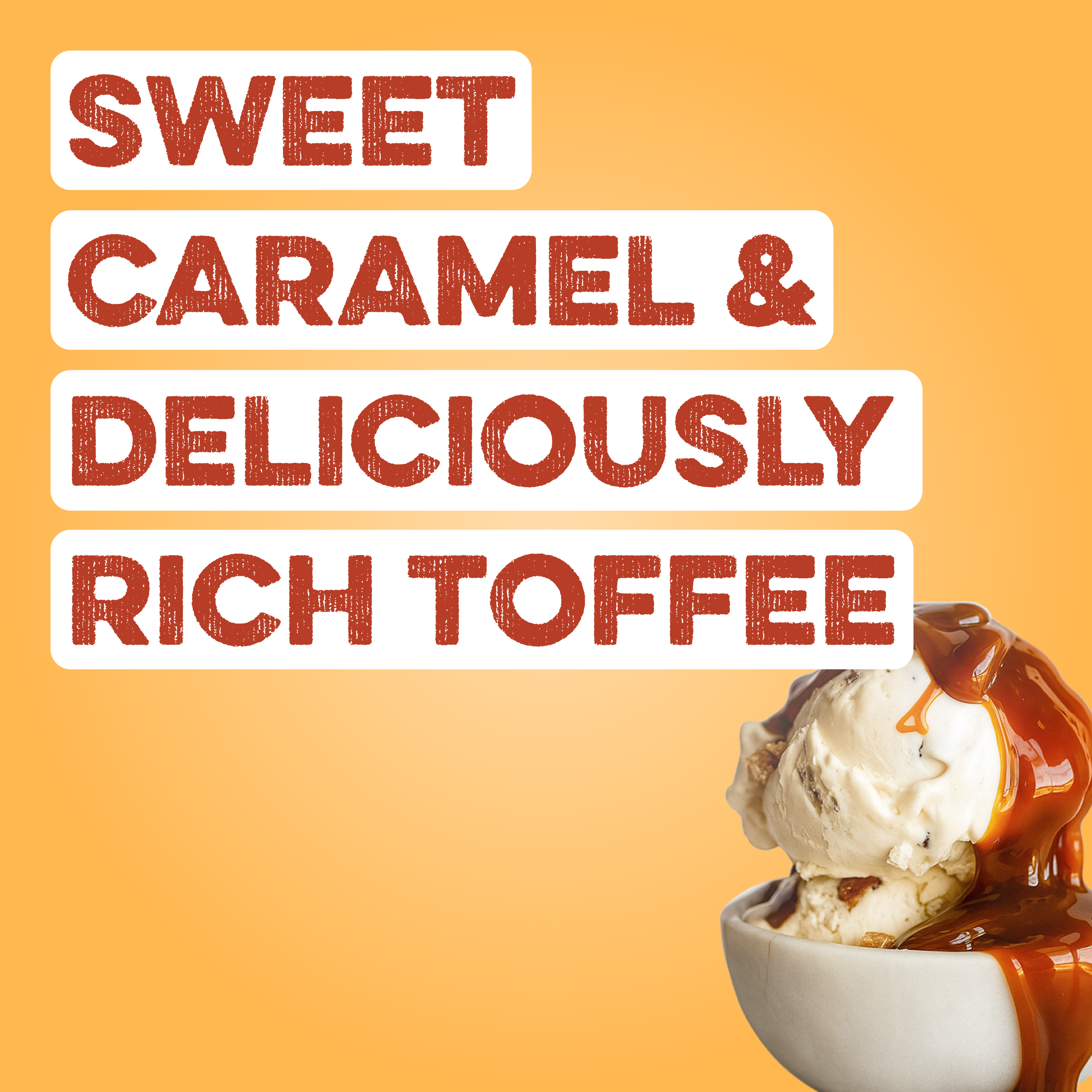 Protein Powder: Caramel Toffee (20 Serving Bag)