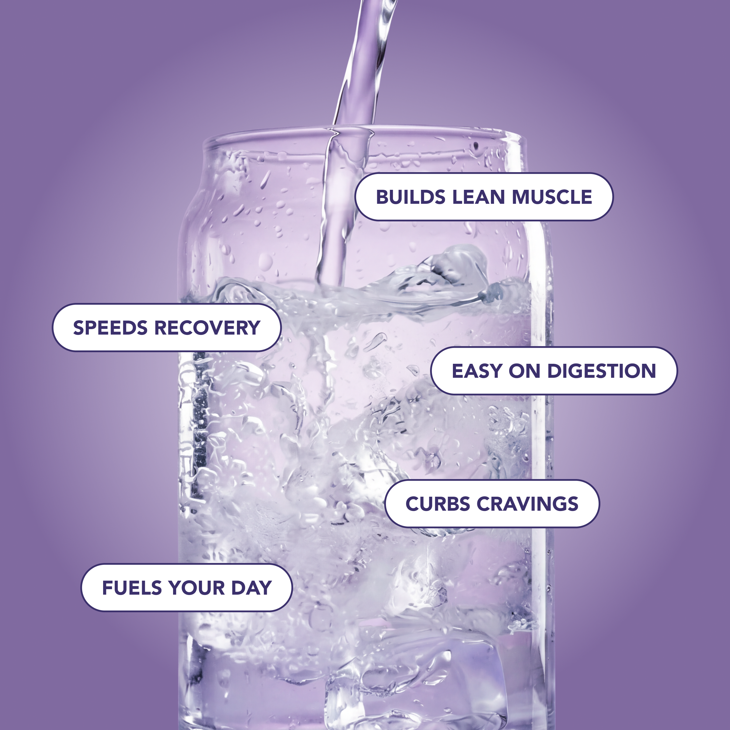 Clear Protein Water: Blackberry Vanilla (16 Oz. | 4 Pack)