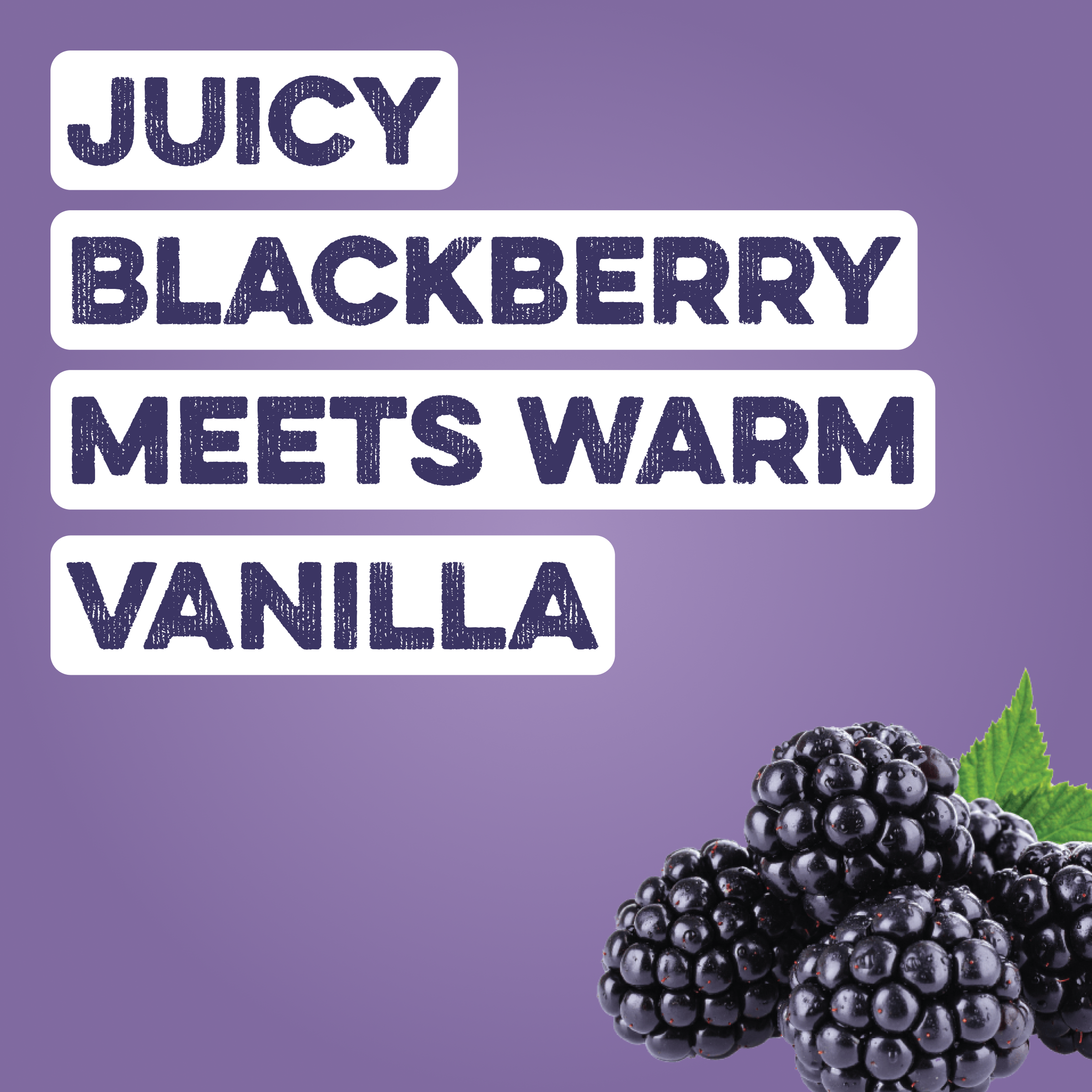 Clear Protein Water: Blackberry Vanilla (16 Oz. | 4 Pack)