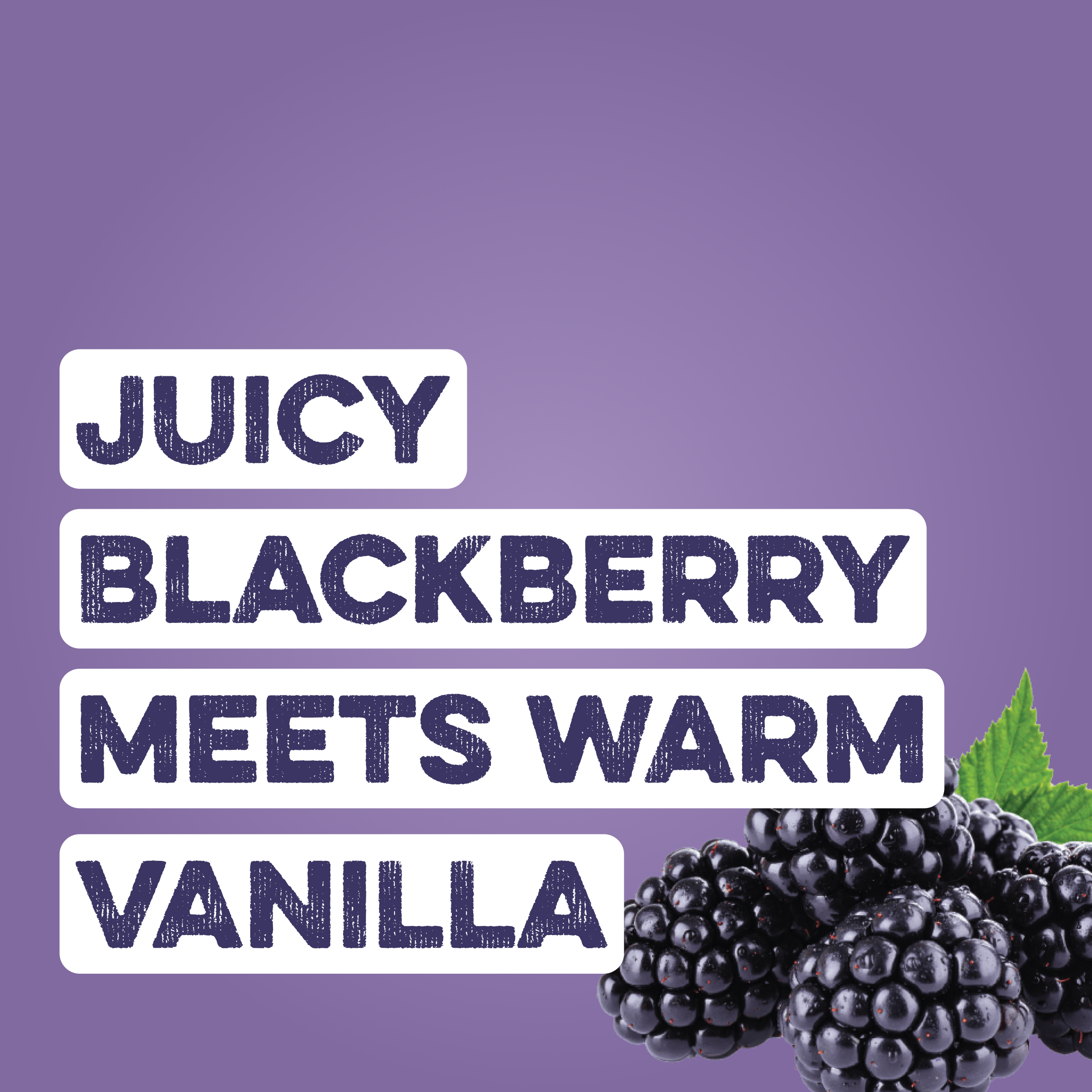 Clear Protein Water: Blackberry Vanilla (16 Oz. | 12 Pack)
